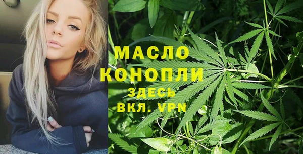 ешки Ельня