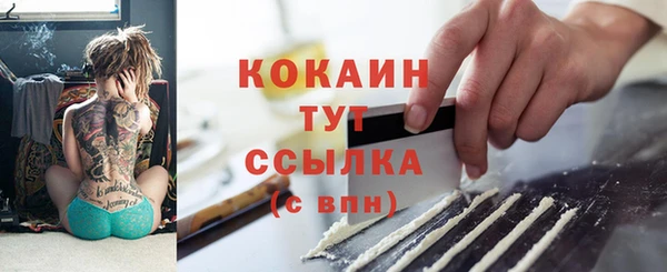 ешки Ельня