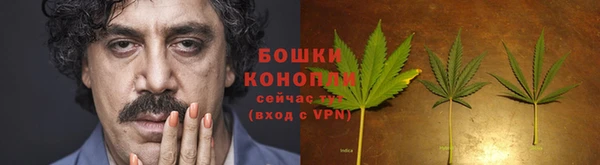 ешки Ельня