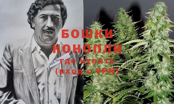 ешки Ельня