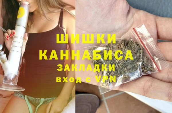 ешки Ельня