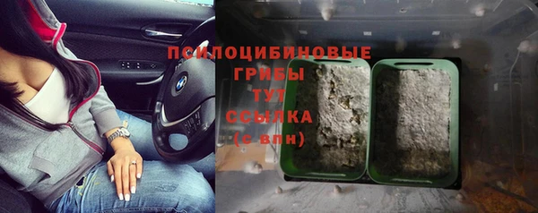 индика Краснослободск