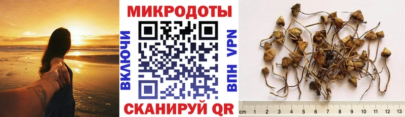 Галлюциногенные грибы Cubensis  Зима 
