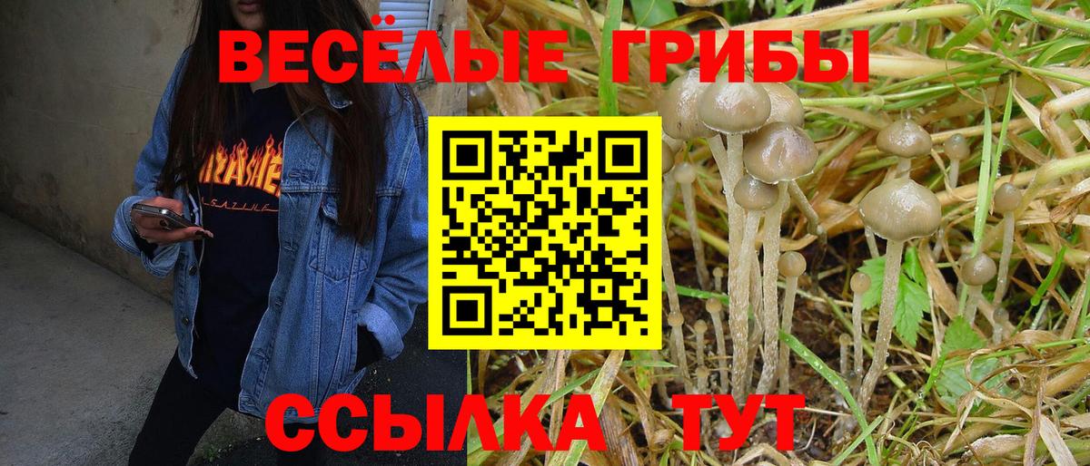 продажа наркотиков  Галлюциногенные грибы MAGIC MUSHROOMS  Галлюциногенные грибы Cubensis  Вход с VPN  Зима 